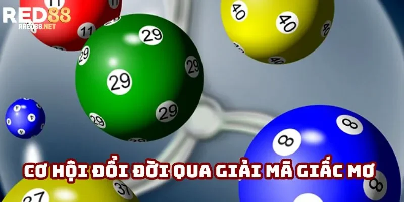 Cơ hội đổi đời qua giải mã giấc mơ