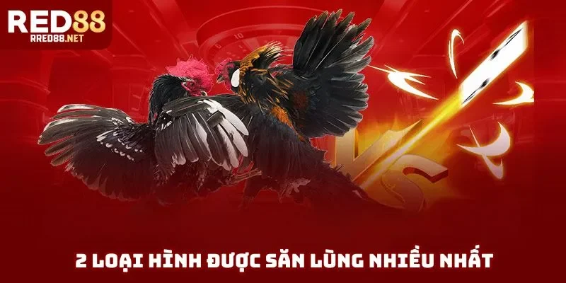 2 loại hình được săn lùng nhiều nhất