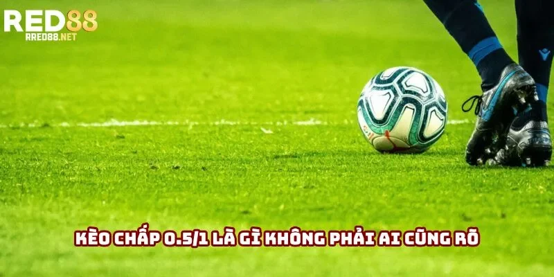 Kèo chấp 0.5/1 là gì không phải ai cũng rõ Kèo chấp 0.5/1 là gì không phải ai cũng rõ