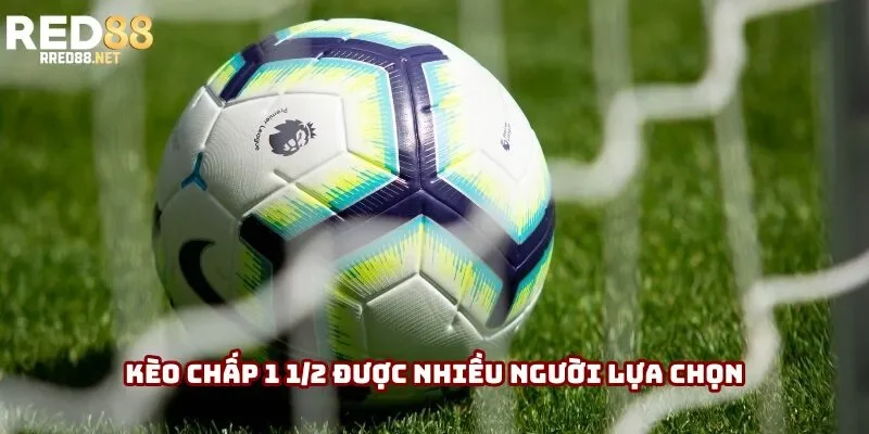 Kèo chấp 1 1/2 được nhiều người lựa chọn