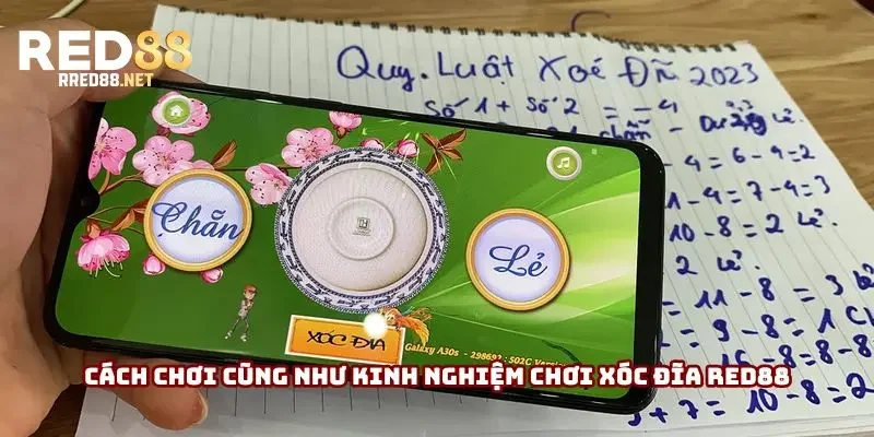 Cách chơi cũng như kinh nghiệm chơi xóc đĩa Red88