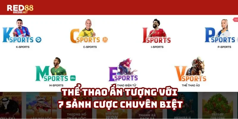 Thể thao ấn tượng với 7 sảnh cược chuyên biệt Thể thao ấn tượng với 7 sảnh cược chuyên biệt